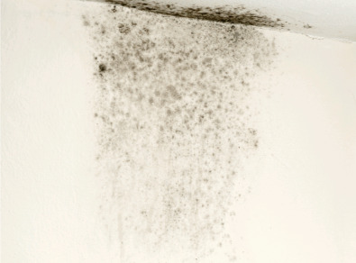 남원 주택 아파트 공장 결로검사 결로공사 시공업체